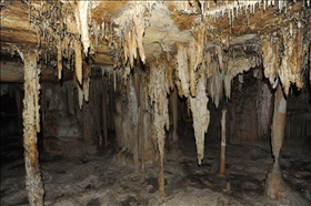 Lehman Caves